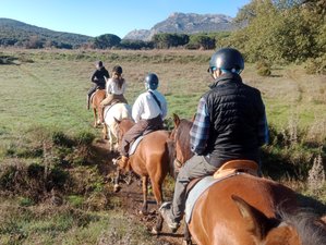 5 Day Trail Ride Horseback Riding and Yoga Holiday with Sound Massage in Grazalema, Spain