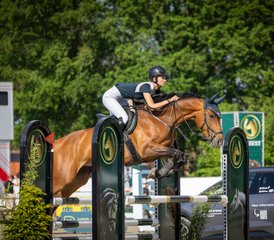 6 Tage Reittour mit Gestüt, Windmühlen und ganzer Tag bei Military Boekelo in den Niederlanden - Photo 4