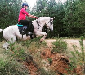 55 Day Wild Riding Holiday in Rila National Park, Bulgaria - Photo 1