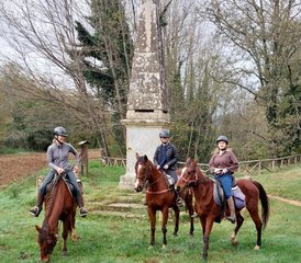 117 jours histoire, vin et équitation à Sienne, Toscane, Italie - Photo 1