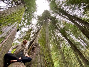 15 Day 200-hour Nature Immersion and Off-grid Yoga Teacher Training in British Columbia, Canada