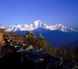 10 jours en séjour de yoga et trek de Ghorepani à Poon Hill au Népal - Photo 5