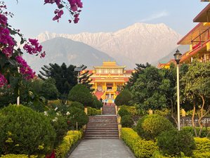 10 Day Tibetan Cultural Immersion, Meditation, Yoga and Healing Retreat in Dharamshala, India