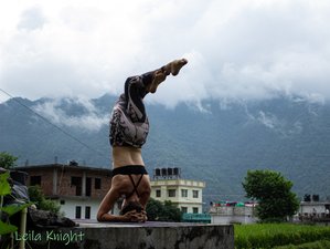 21 Day 200-Hour Vinyasa Yoga Teacher Training in Rishikesh, India