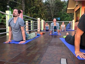 7 jours en retraite de crudivorisme et yoga à Koh Samui, Thaïlande