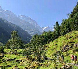 3-Daagse Mürren Yoga- en Wandelretreat in de Zwitserse Alpen - Photo 4