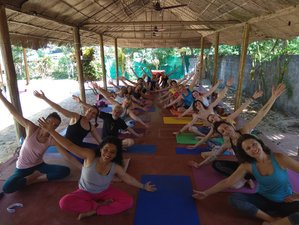 4 Day Zen Meditation and Yoga Retreat in Alleppey, Kerala, India