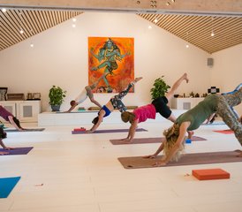 7 Day Yoga Retreat in the Heart of the French Alps in Auvergne-Rhône-Alpes, France - Photo 4