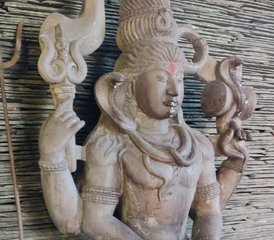 10 jours en stage de méditation et yoga dans un ashram dans l’Himalaya, près de Dharamsala, Inde - Photo 5