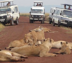 4-Daagse Safari in Amboseli, Lake Naivasha en Hell's Gate National Park, Kenia - Photo 2