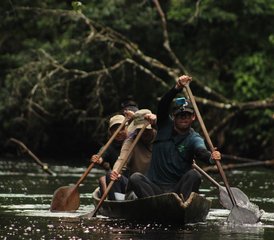 6-Daagse Onvergetelijke Amazone Reis in het Cuyabeno Wildlife Reserve Ecuador - Photo 3