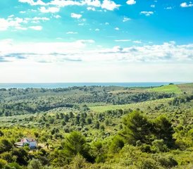 8 Day Overcoming Addiction Retreat and Yoga in Valencia, Spain - Photo 2