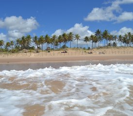 8-Tage Surfcamp-Urlaub im Paradies nahe Salvador da Bahia, Brasilien - Photo 2