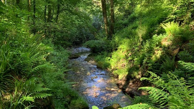 4-Daagse yogaretreat in Glastonbury, VK