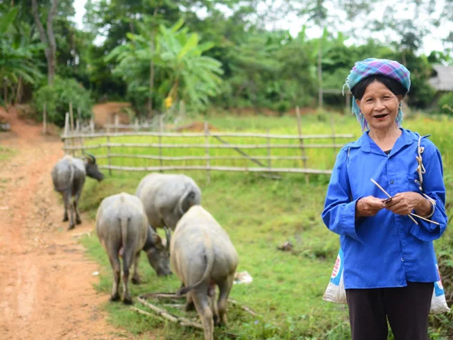 4 Day Northeast Motorbike Trails Vu Linh to Ba Be in Vietnam photo 9