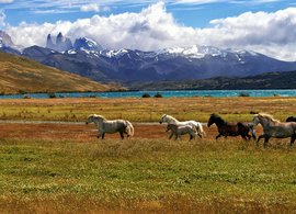 Patagonië Retraites en Reizen