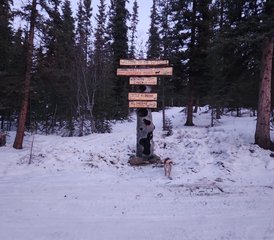 10 Tage Grizzly-Mountain-Reit-Camping-Trip im Yukon, Kanada - Photo 3
