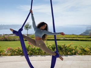 5 Day Discovery Wellness Retreat in Aswan, Egypt by MGM Wellness Clinic