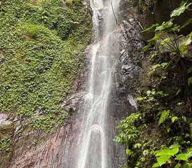 6 Day Yoga Connection Retreat in Ubud, Bali in Indonesia - Photo 3