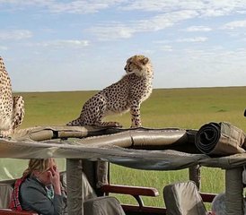6-Daagse Kenia Safari Tour - Amboseli, Nakuru Meer, en Masai Mara Game Reservaat - Photo 5