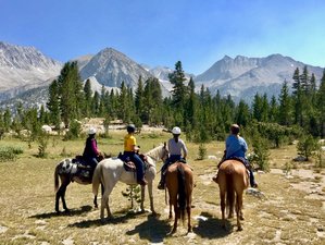 3 Day Parent-Child Trail Horse Riding Holiday in California, USA