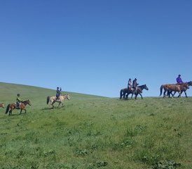 1011 jours de randonnée et randonnée équestre en Mongolie - Photo 1
