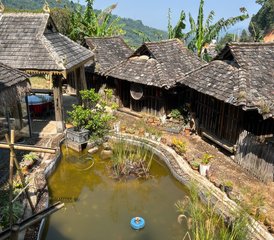 5 Day Tea Plantation with Tantra Yoga Retreat in Xishuangbanna, China - Photo 2