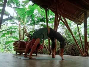 5 Day Self-Alignment Detox Rejuvenation Wellness Yoga Retreat in San Andrés, Colombia