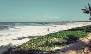 Coast Province Retreats und Reisen