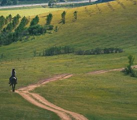 7 Tage Premium Geführter Reiturlaub in China: Pekinger Wahrzeichen, Graslandpfade und Reitkultur - Photo 4