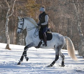 83 Day Private Horses and Nature Holiday in Serra da Estrela, Portugal - Photo 1
