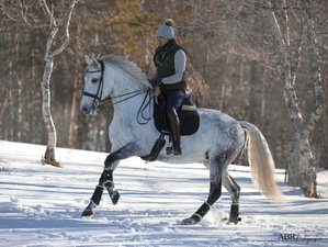 3 Day Private Horses and Nature Holiday in Serra da Estrela, Portugal