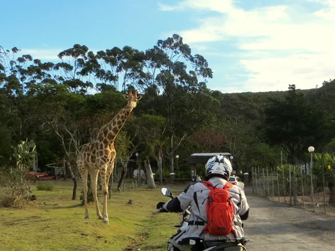 9 Day Cape Town and Garden Route Guided Motorcycle Tour in South Africa photo 4