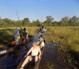 1011-Daagse Okavango Mobiele Kampeersafari met Tenten in Botswana en Zimbabwe - Photo 1