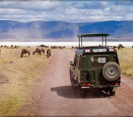77-Daagse Tanzania Safari in Middenklasse Lodges en Kampen naar Lake Manyara, Serengeti, Ngorongoro & Tarangire - Photo 1