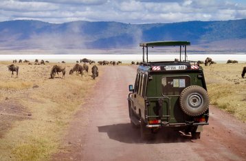 7 días de safari en alojamientos y campamentos de gama media por Tanzania a Lago Manyara, Serengeti, Ngorongoro y Tarangire
