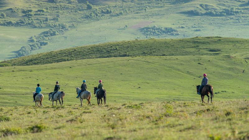 4 Day Transylvania Nature and Culture Private Horse Riding Tour in Romania