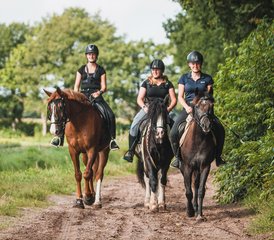 14-Daagse Paardrij- en Trailvakantie met Eigen Paard voor Groepen of Individuen in Wateren Nederland - Photo 1