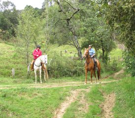 3 Day Adventurous Private Horse Riding in Boyacá, Colombia - Photo 4