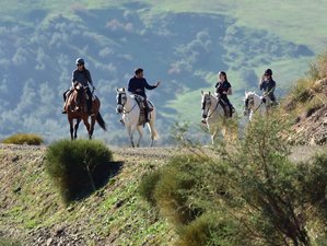 4 Day Gold Package Horse Riding Holiday and Luxury Self-Catering Stay in Rural Andalusia