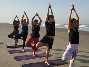 4 Day Personalized Wellness and Yoga Holiday in Goa
