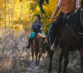 6 Day Rescue Horse Ranch Vacation in New Mexico, USA: Ride with Purpose - Photo 2