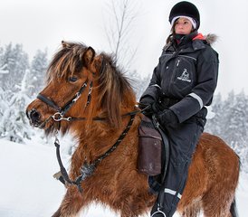 6 Tage Multi-Aktivitäten Winterreiturlaub in Svansele, Schwedisch-Lappland - Photo 4