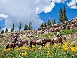 3 Day Pack Trip Horseback Riding Holiday in The San Juan Mountains Area, Colorado