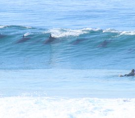 3-Daagse Surf- en Yoga-Vakantie in KwaZulu-Natal, Zuid-Afrika - Photo 3