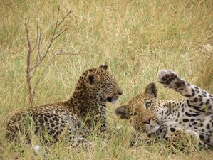 6 Tage Aufregende Safari in Botswana