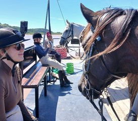 8 jours en stage d’équitation de travail sur la Côte sauvage d’Afrique du Sud - Photo 5