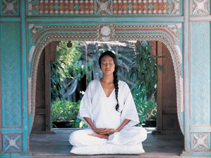 4 Days Restore and Renew Wellness Yoga Retreats in Mulu, Malaysia