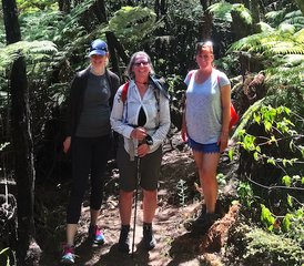 6 jours en stage de yoga avec activités de randonnée à Whangarei Heads, Nouvelle-Zélande - Photo 4