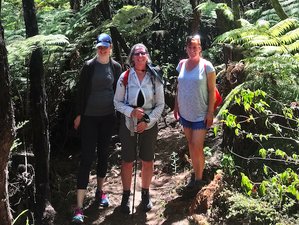 6 Tage Wander und Yoga Urlaub in Whangarei Heads, Northland
